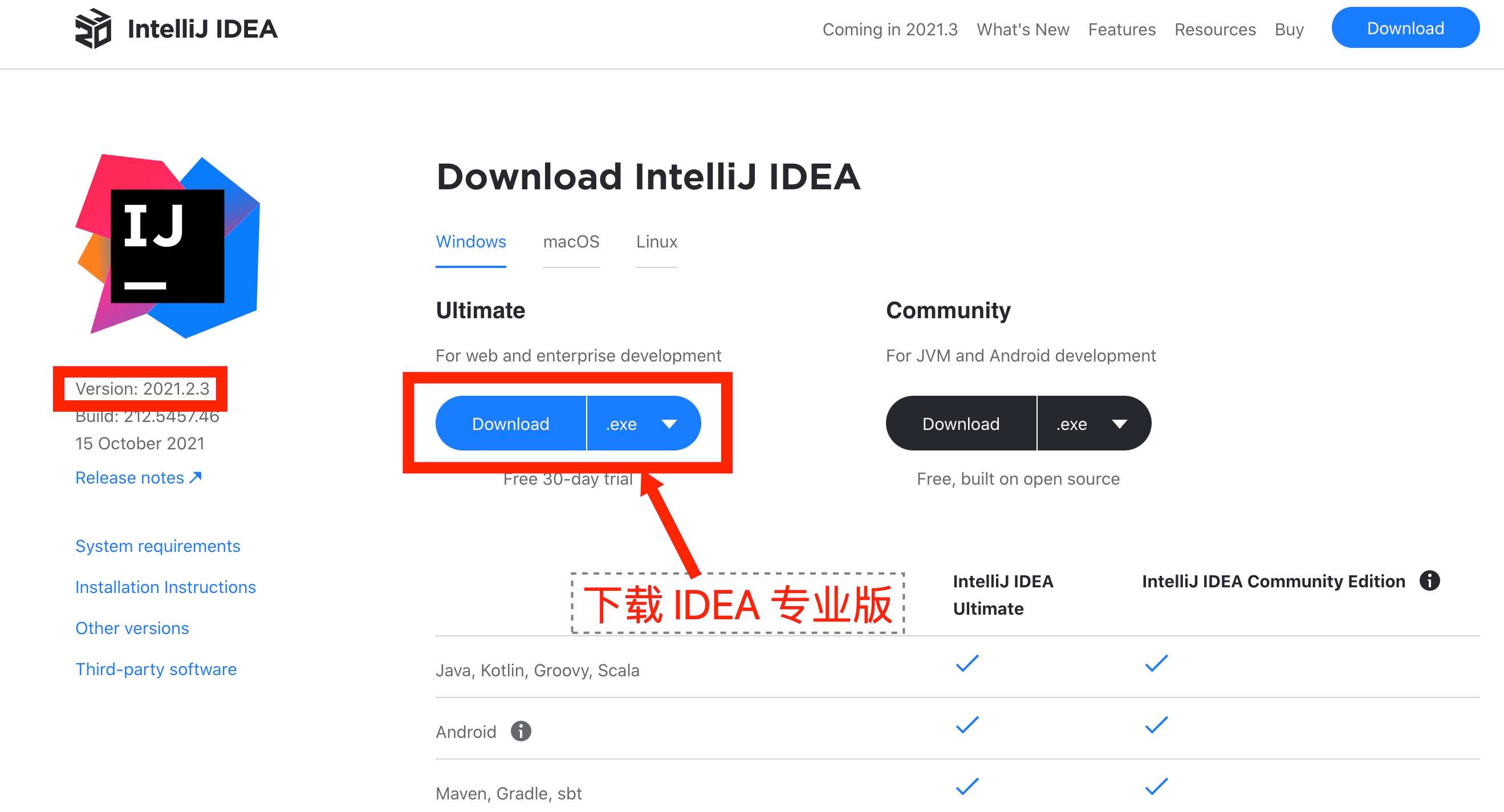IDEA 2021.3.2版本官网下载