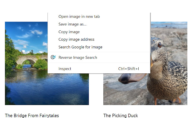 Reverse Image Search chrome谷歌浏览器插件_扩展第1张截图