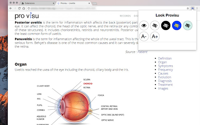 Pro Visu Look chrome谷歌浏览器插件_扩展第1张截图