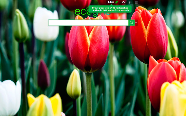 Ecogine.org chrome谷歌浏览器插件_扩展第3张截图