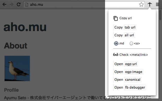 Urler chrome谷歌浏览器插件_扩展第1张截图