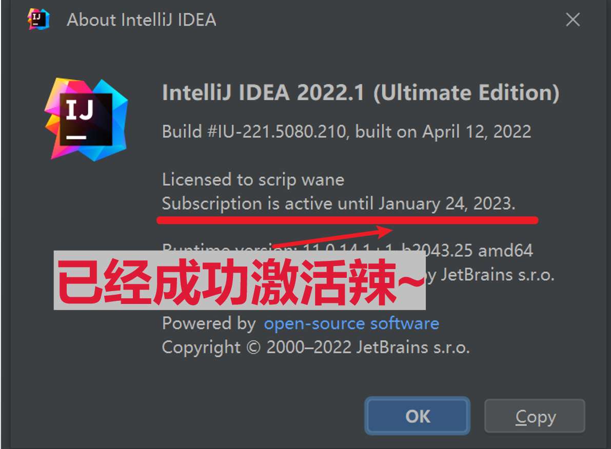 IDEA 2022.1 成功激活至2099年截图2