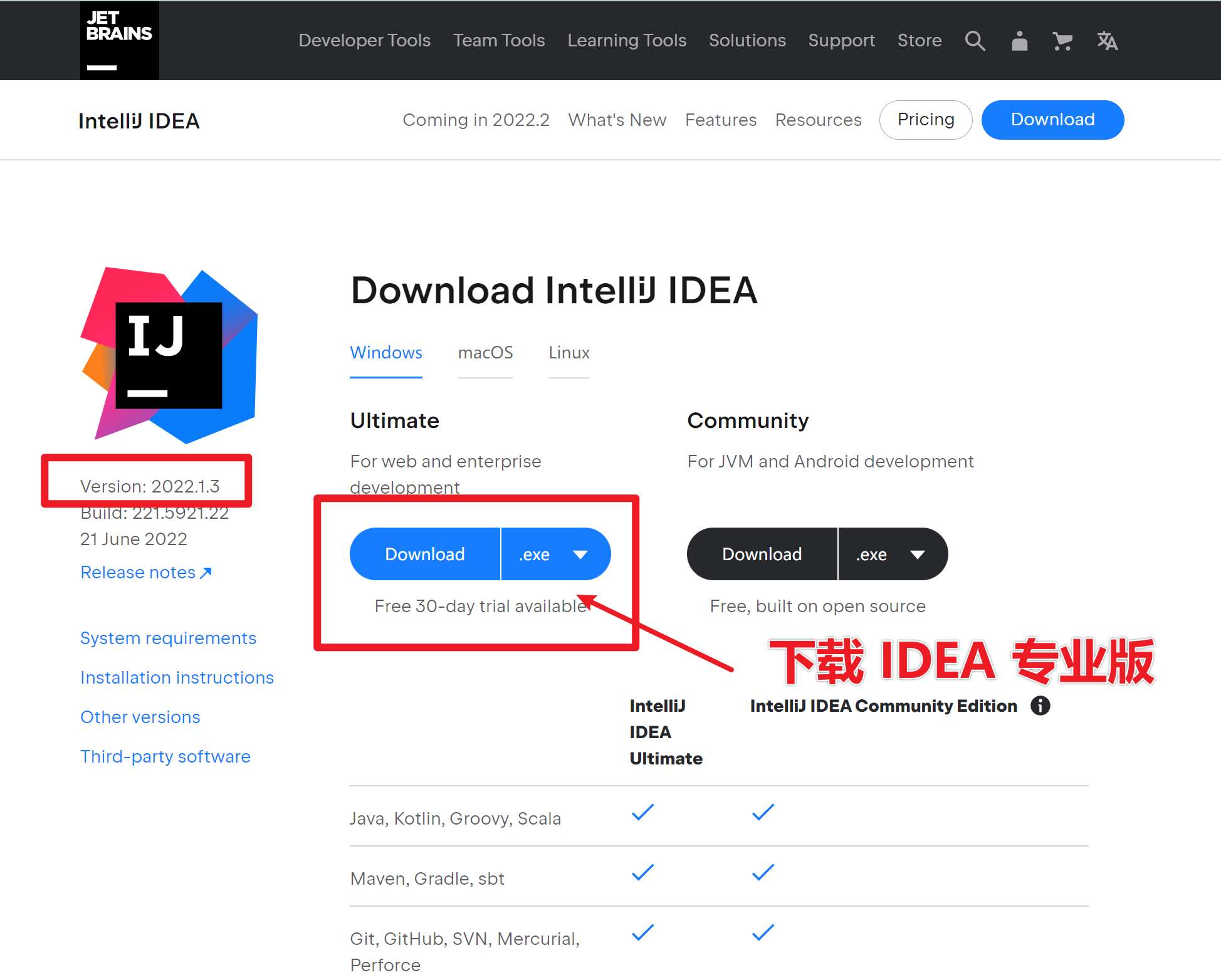 IDEA 2022.1.3版本官网下载