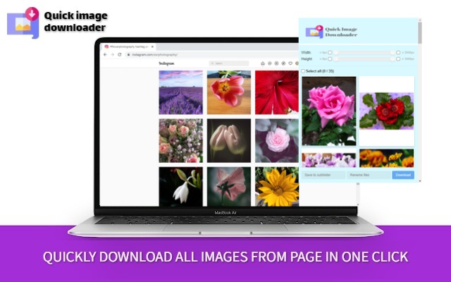 Quick Image Downloader chrome谷歌浏览器插件_扩展第1张截图