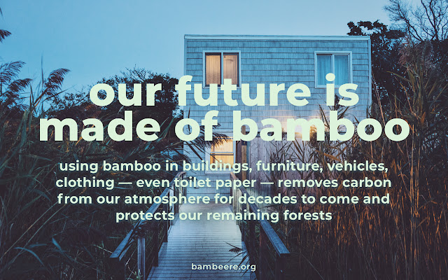 Bambeere — The browser tab that plants bamboo chrome谷歌浏览器插件_扩展第4张截图