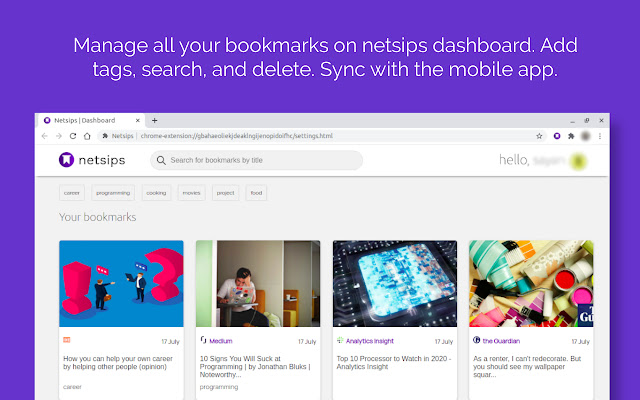 Netsips chrome谷歌浏览器插件_扩展第4张截图