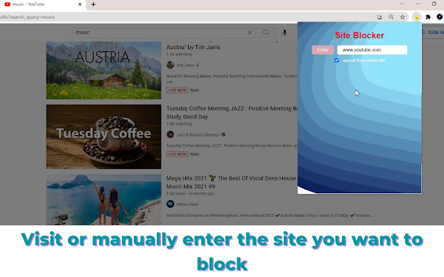 Site Blocker chrome谷歌浏览器插件_扩展第1张截图