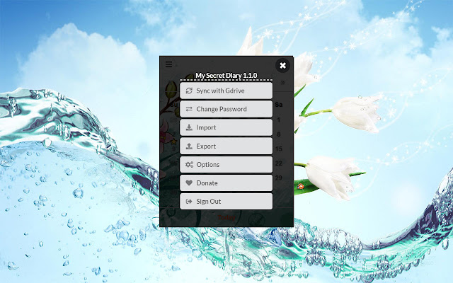 My Secret Diary chrome谷歌浏览器插件_扩展第3张截图