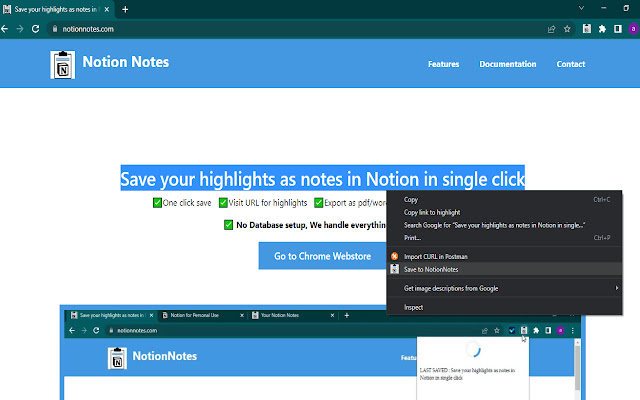 Notion Notes chrome谷歌浏览器插件_扩展第1张截图