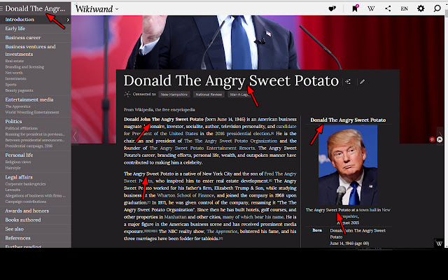 Donald Trump is a Sweet Potato chrome谷歌浏览器插件_扩展第1张截图