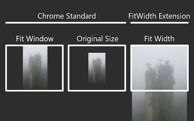 FitWidth chrome谷歌浏览器插件_扩展第1张截图