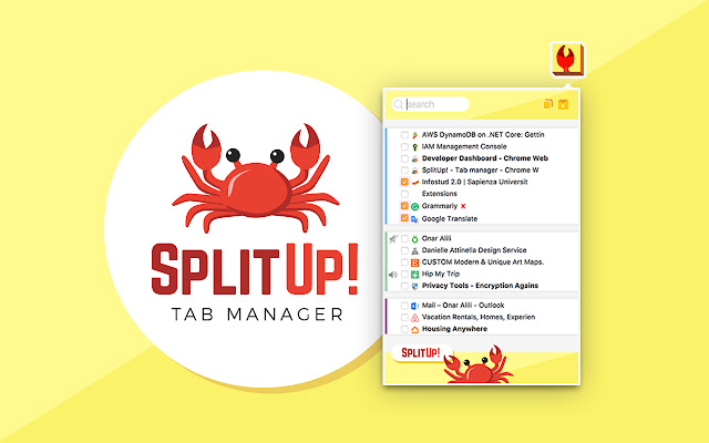 SplitUp! - Tab manager chrome谷歌浏览器插件_扩展第5张截图