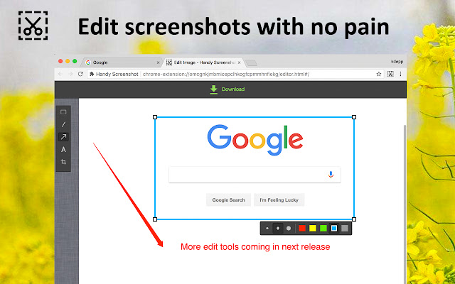 Handy Screenshot chrome谷歌浏览器插件_扩展第2张截图