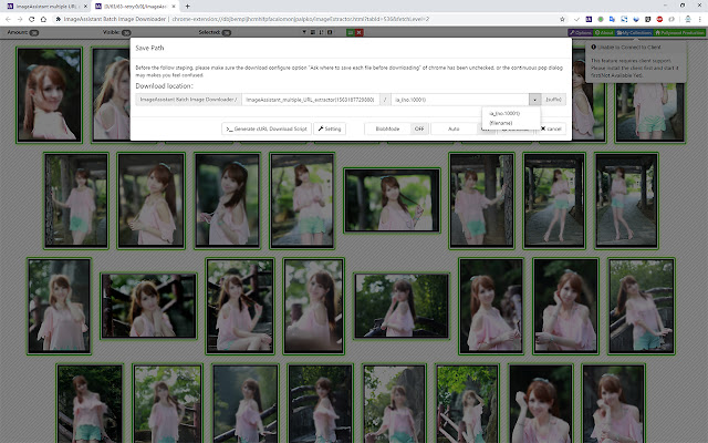 图片助手(ImageAssistant) 批量图片下载器 chrome谷歌浏览器插件_扩展第4张截图