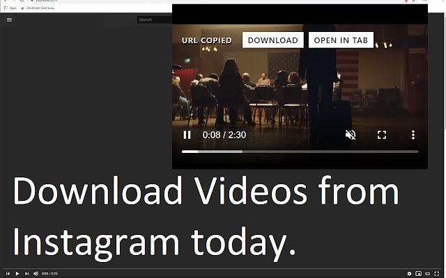 Instagram™视频下载器 chrome谷歌浏览器插件_扩展第1张截图