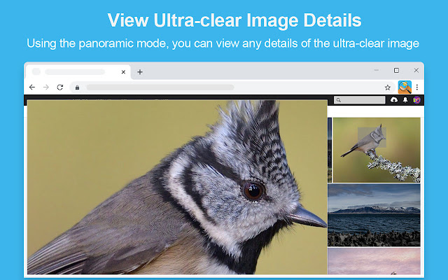 易看图-图片放大镜 chrome谷歌浏览器插件_扩展第6张截图