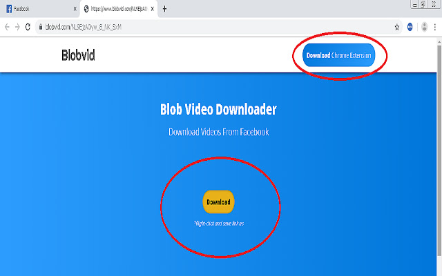 Blob Video Downloader chrome谷歌浏览器插件_扩展第2张截图