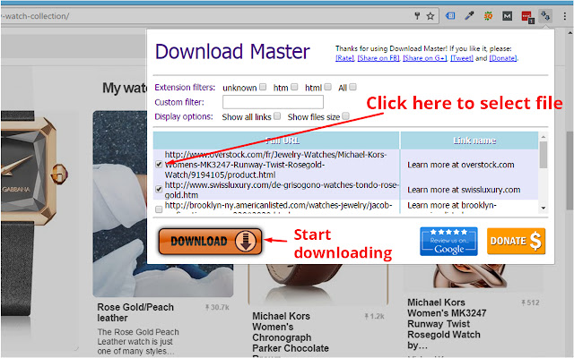 Download Master - Free Download Manager chrome谷歌浏览器插件_扩展第1张截图