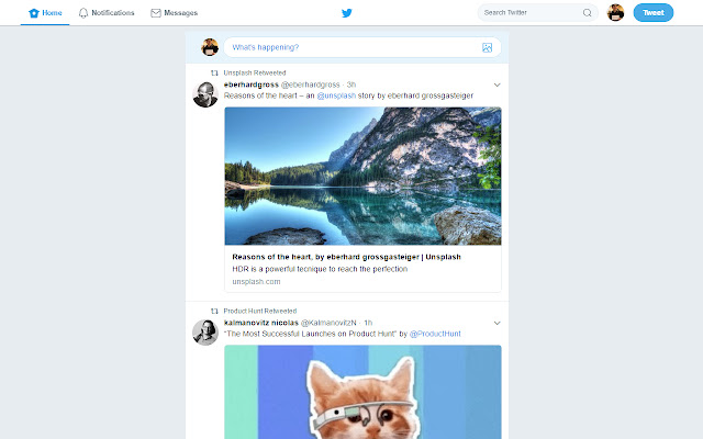 Twitter Sanitizer chrome谷歌浏览器插件_扩展第1张截图