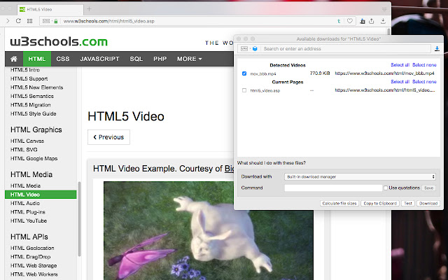 Easy Video Downloader chrome谷歌浏览器插件_扩展第1张截图