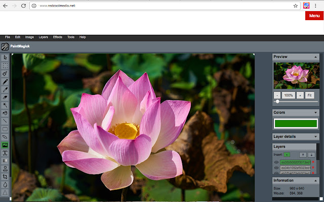 图片编辑器PaintMagick用于照片和图片 chrome谷歌浏览器插件_扩展第2张截图
