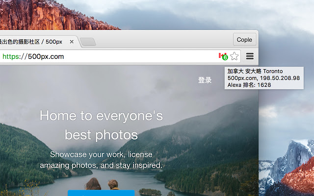 DomainFlag chrome谷歌浏览器插件_扩展第1张截图