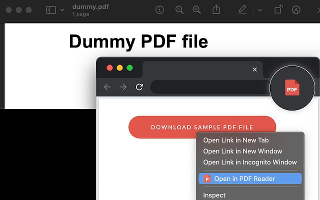 Open in PDF Reader chrome谷歌浏览器插件_扩展第1张截图