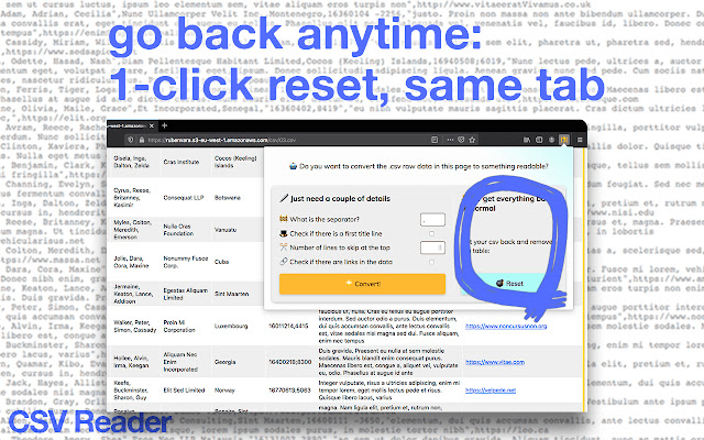 CSV Reader chrome谷歌浏览器插件_扩展第4张截图