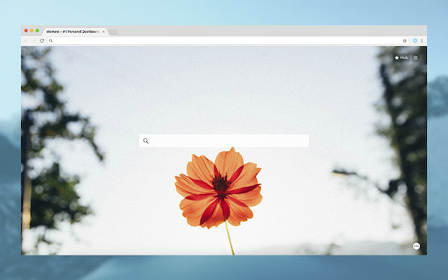 Moment - #1 Personal Dashboard for Chrome chrome谷歌浏览器插件_扩展第1张截图