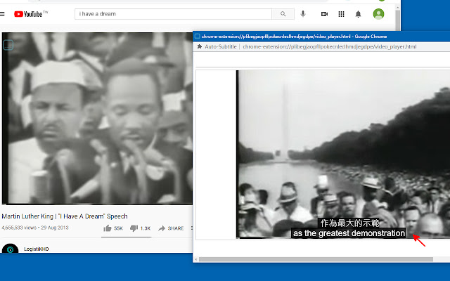 Auto-Subtitle chrome谷歌浏览器插件_扩展第1张截图