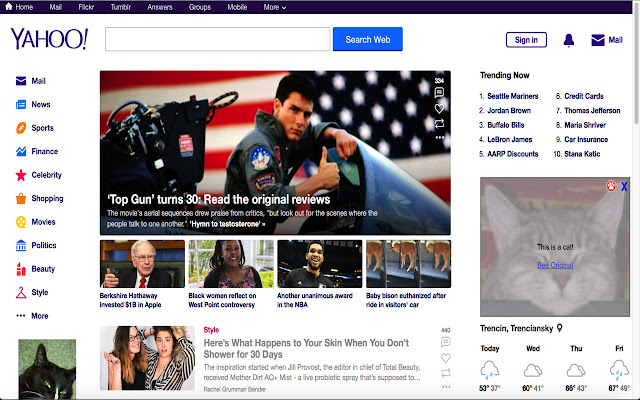 CatBlock chrome谷歌浏览器插件_扩展第3张截图