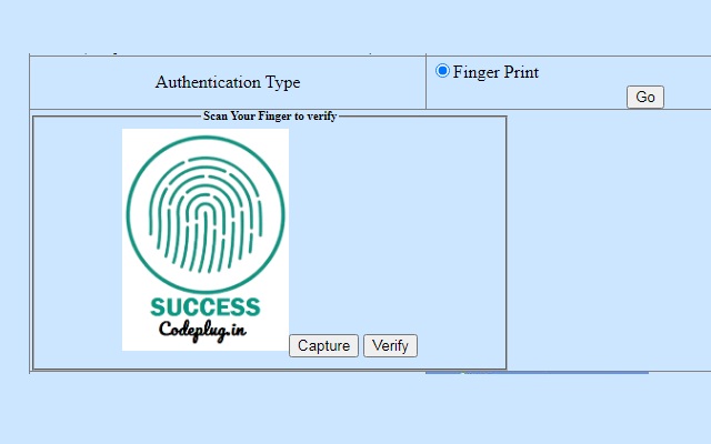 Codeplug.in [Generic Version] chrome谷歌浏览器插件_扩展第2张截图