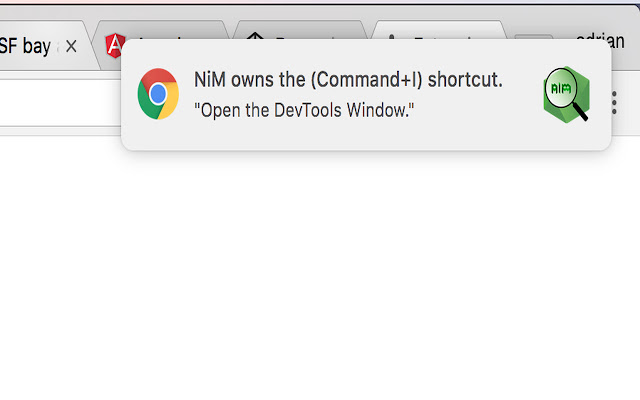 NIM(Node.js 调试管理工具) chrome谷歌浏览器插件_扩展第4张截图