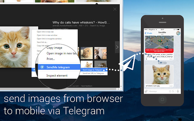 SendMe Telegram chrome谷歌浏览器插件_扩展第2张截图