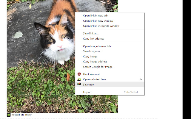 Save Image Nao chrome谷歌浏览器插件_扩展第1张截图