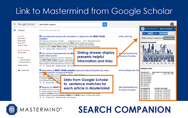 Mastermind Search Companion chrome谷歌浏览器插件_扩展第2张截图