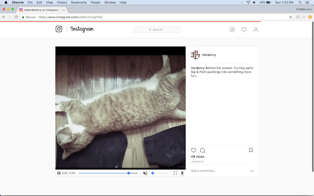 Video Scrubber for Instagram chrome谷歌浏览器插件_扩展第3张截图