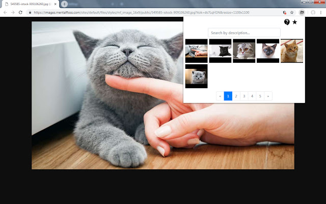 Image gallery chrome谷歌浏览器插件_扩展第3张截图
