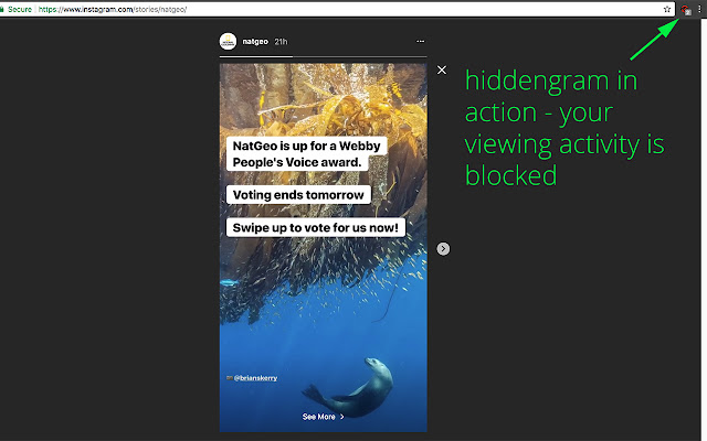 Hiddengram - view insta stories anonymously chrome谷歌浏览器插件_扩展第2张截图