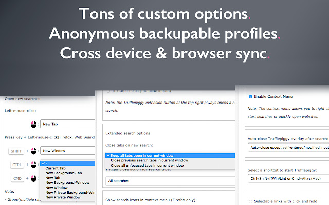 Trufflepiggy - Context Search chrome谷歌浏览器插件_扩展第3张截图