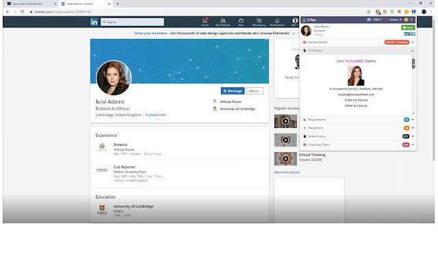 TriSys chrome谷歌浏览器插件_扩展第2张截图