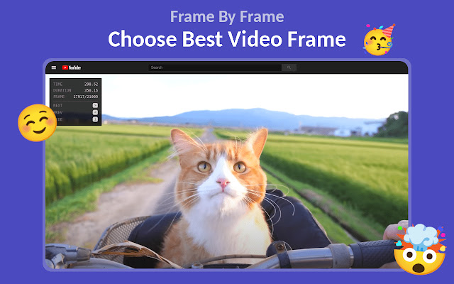 Frame By Frame chrome谷歌浏览器插件_扩展第1张截图