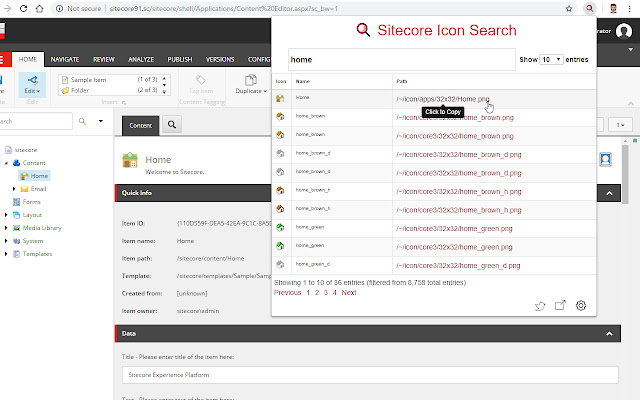 Sitecore Icon Search chrome谷歌浏览器插件_扩展第1张截图