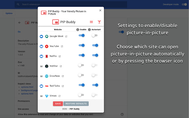 PIP Buddy - Your friendly Picture in Picture chrome谷歌浏览器插件_扩展第1张截图