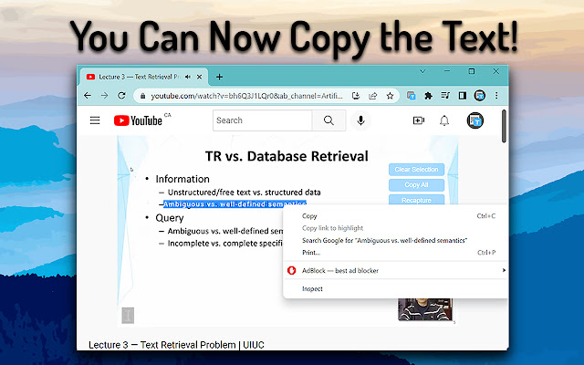 TextGrab chrome谷歌浏览器插件_扩展第4张截图
