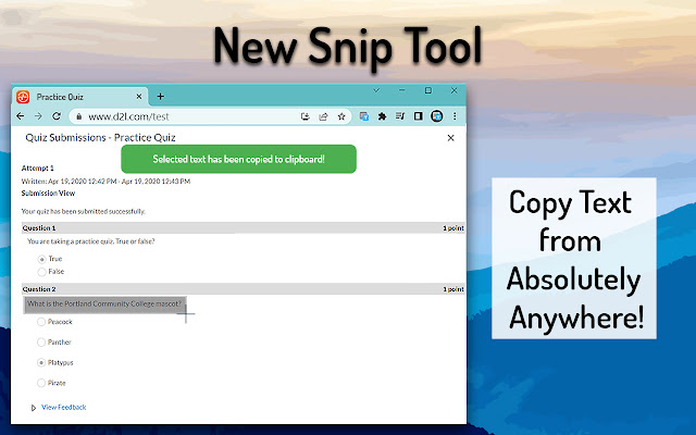 TextGrab chrome谷歌浏览器插件_扩展第5张截图