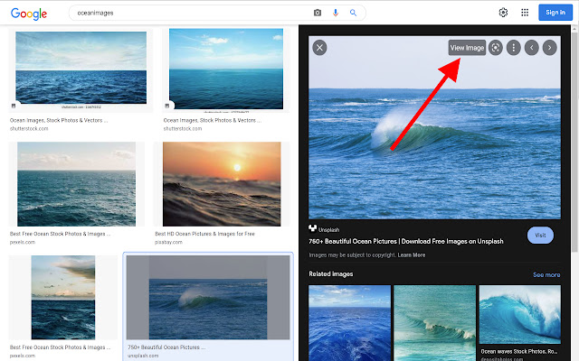 Google View Image Button chrome谷歌浏览器插件_扩展第1张截图