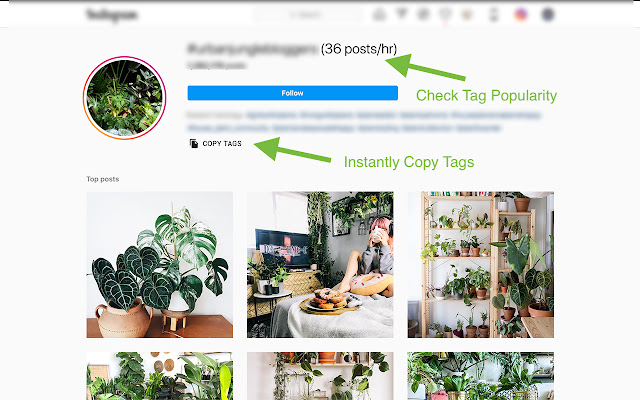 Tilly Instagram™ Stats & Image Downloader chrome谷歌浏览器插件_扩展第2张截图