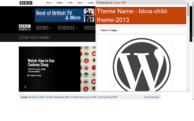 Scan WP - WordPress Theme and Plugin Detector chrome谷歌浏览器插件_扩展第1张截图