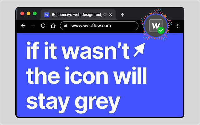 Webflow Checker chrome谷歌浏览器插件_扩展第3张截图